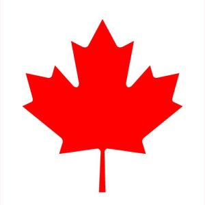 Canada Visa Assistance